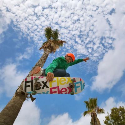 SAMSUNG FLEX SKATE